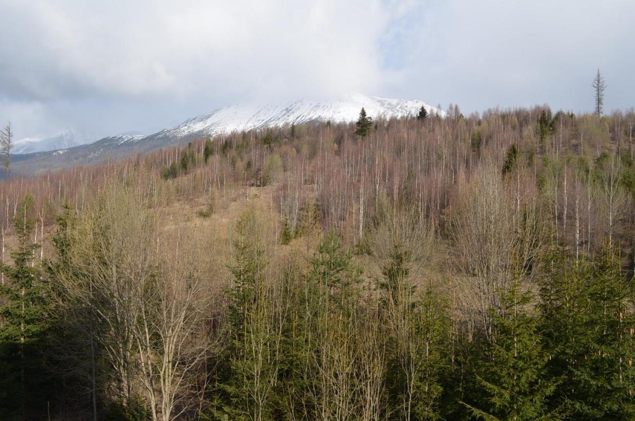 Apartmán LESIA Vysoké Tatry Esterno foto